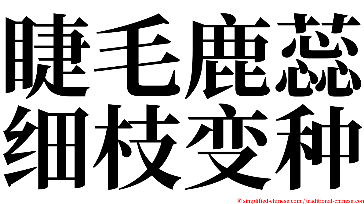 睫毛鹿蕊细枝变种 serif font