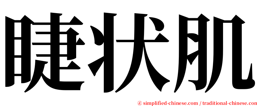 睫状肌 serif font