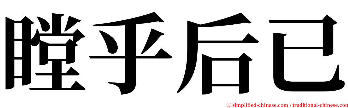 瞠乎后已 serif font