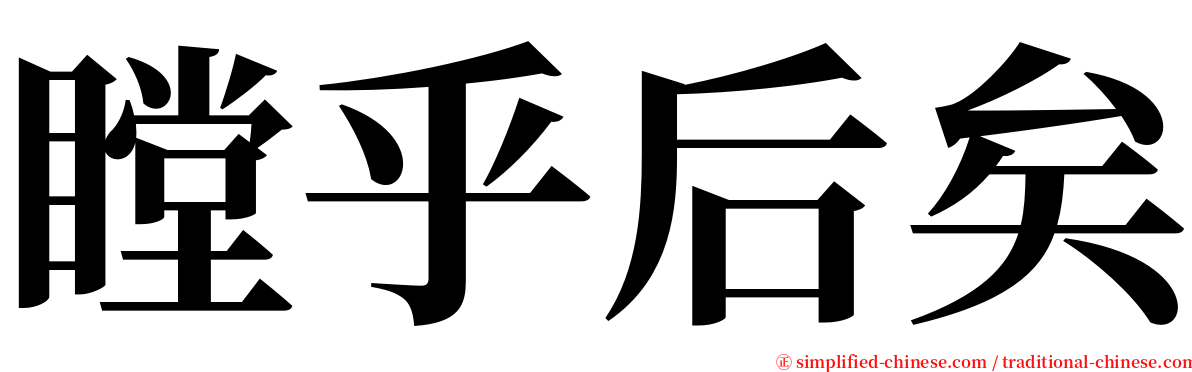 瞠乎后矣 serif font