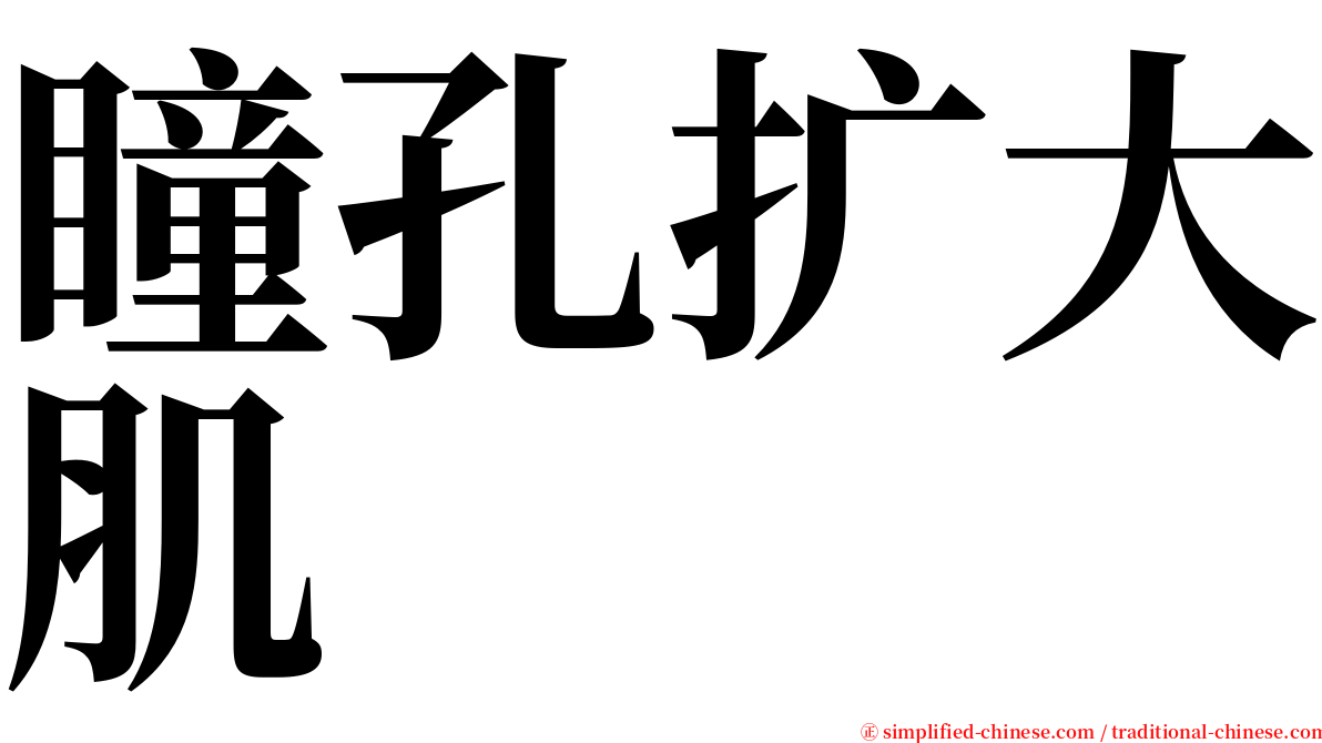 瞳孔扩大肌 serif font