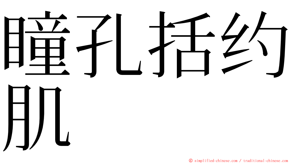 瞳孔括约肌 ming font