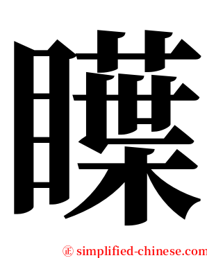 瞸 serif font