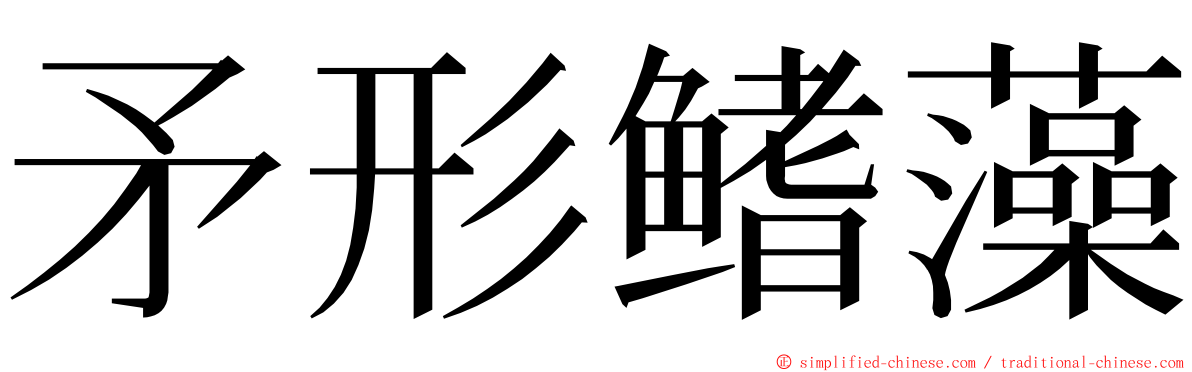 矛形鳍藻 ming font