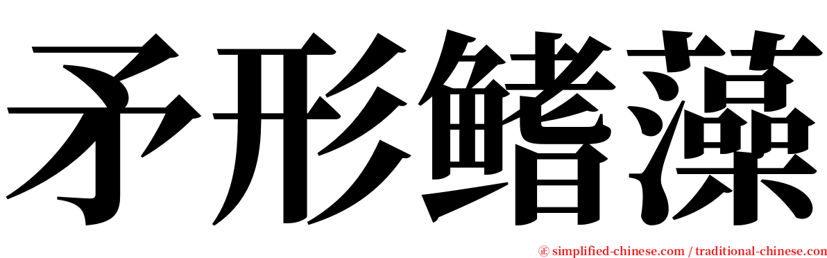 矛形鳍藻 serif font