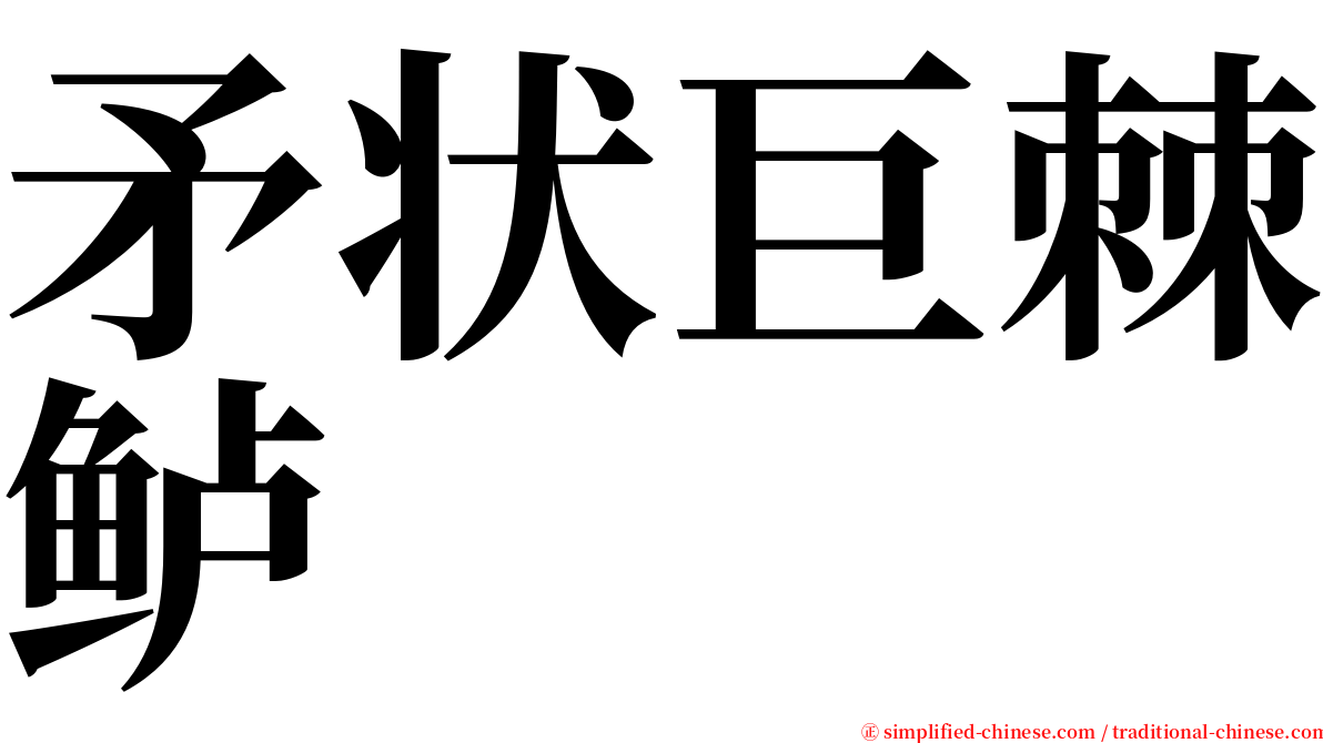 矛状巨棘鲈 serif font