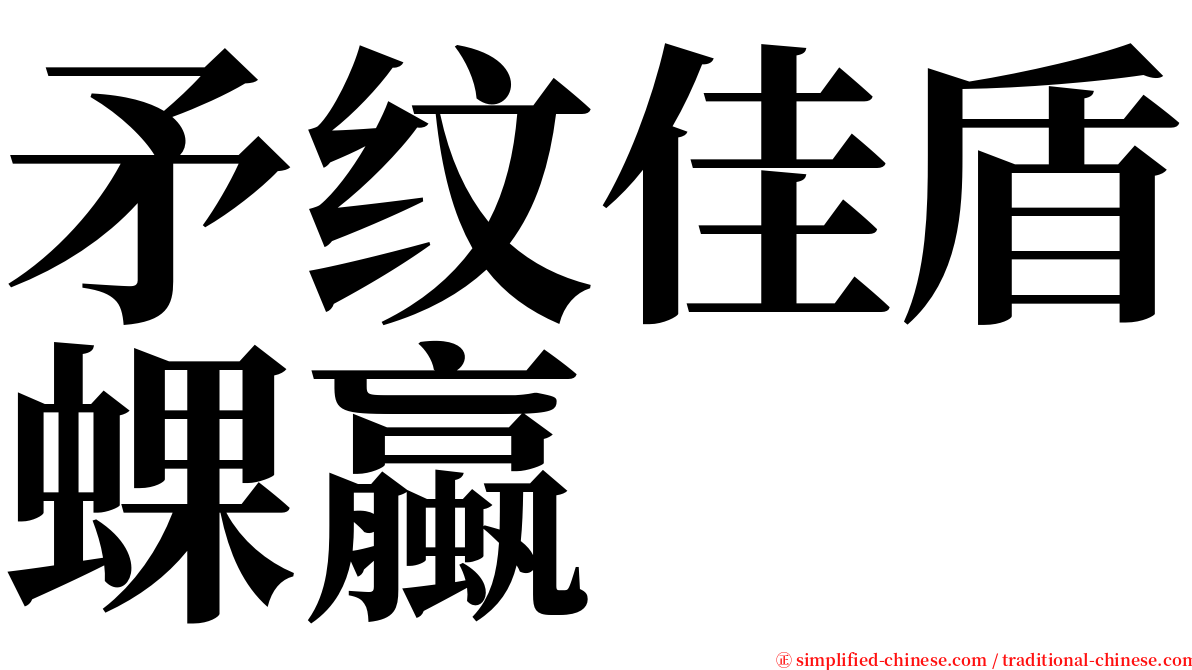 矛纹佳盾蜾蠃 serif font