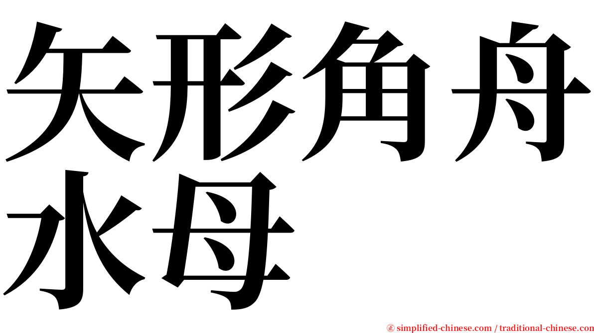 矢形角舟水母 serif font