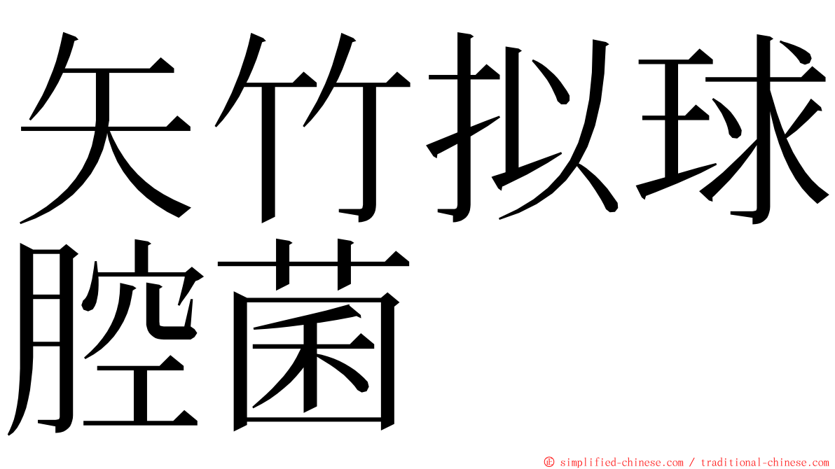矢竹拟球腔菌 ming font