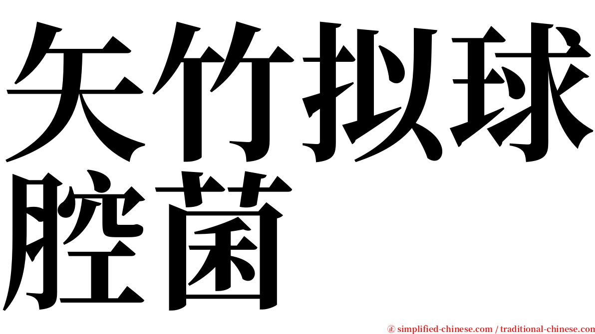 矢竹拟球腔菌 serif font