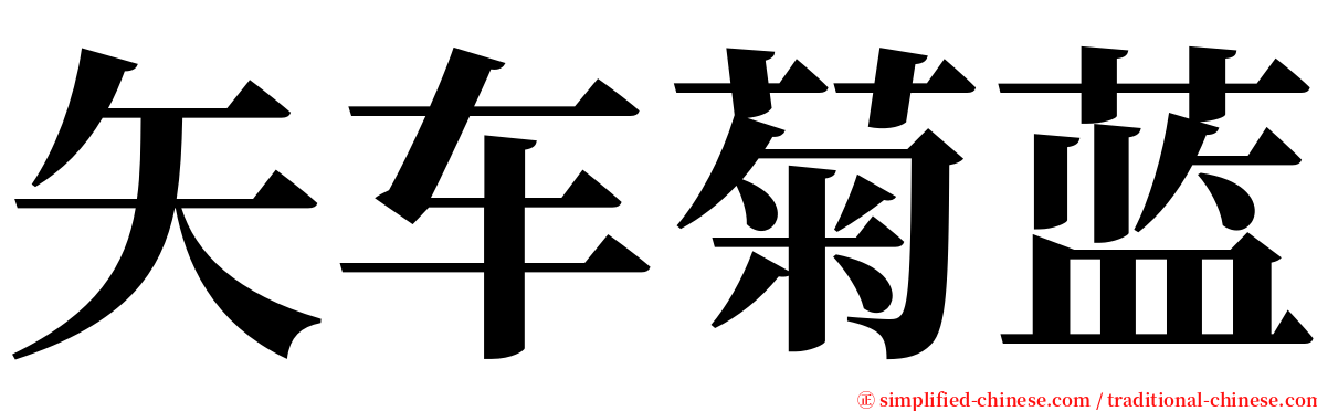 矢车菊蓝 serif font