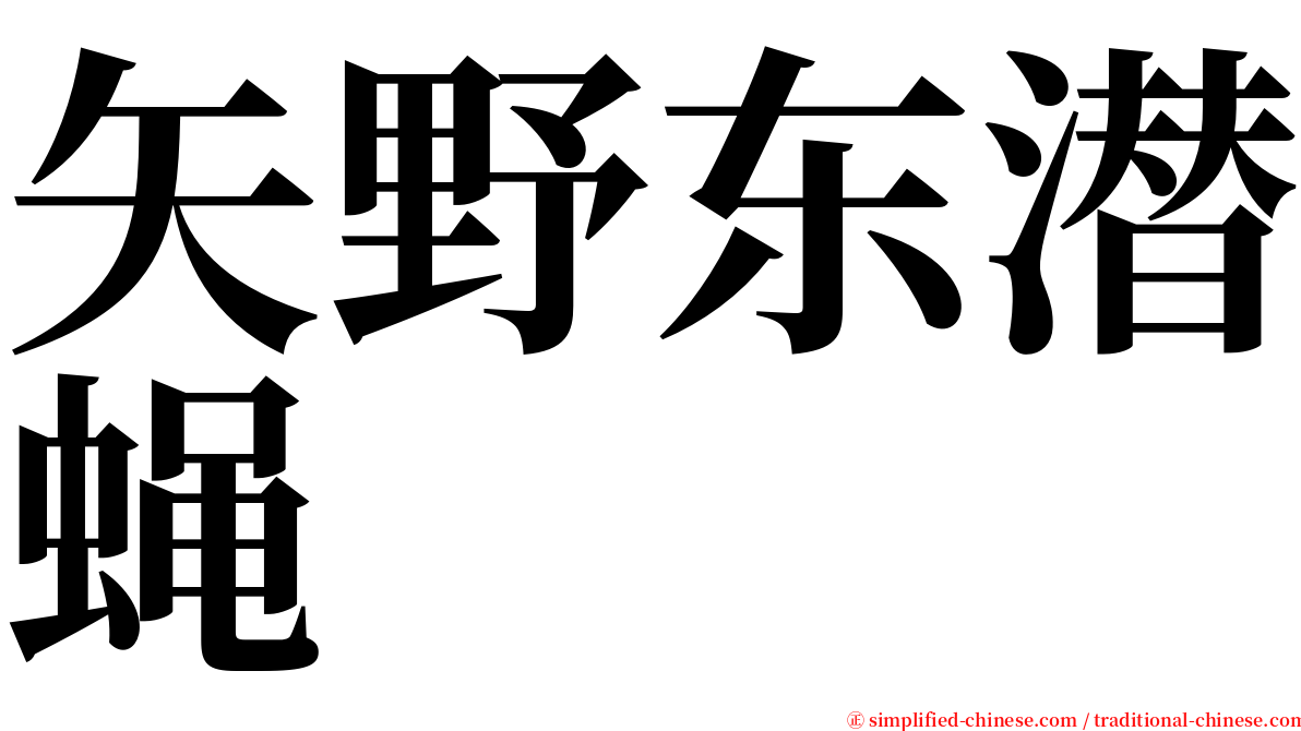 矢野东潜蝇 serif font