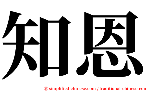 知恩 serif font