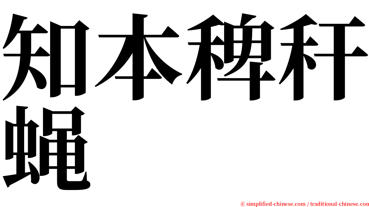 知本稗秆蝇 serif font
