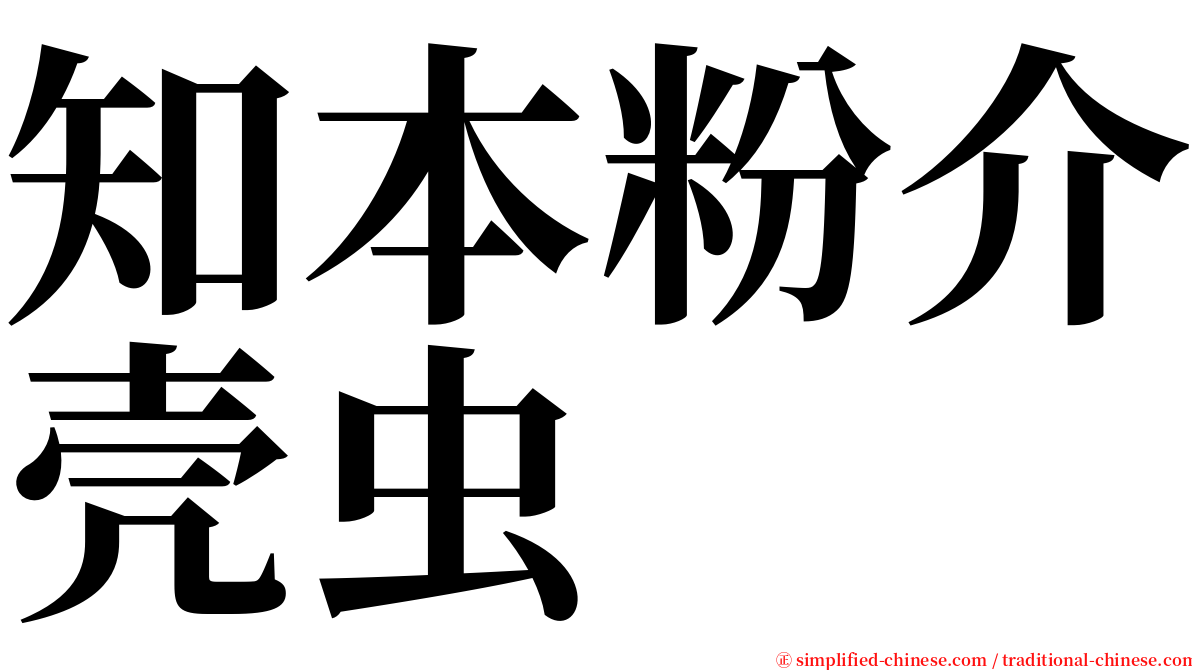 知本粉介壳虫 serif font