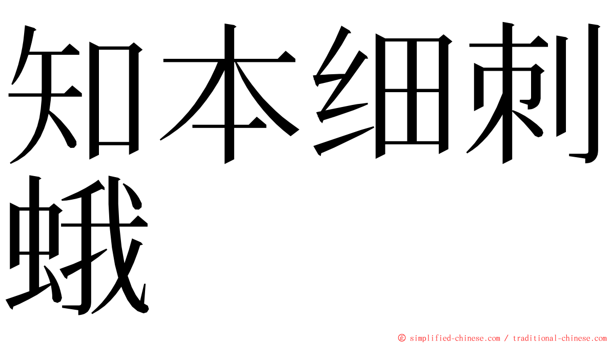 知本细刺蛾 ming font