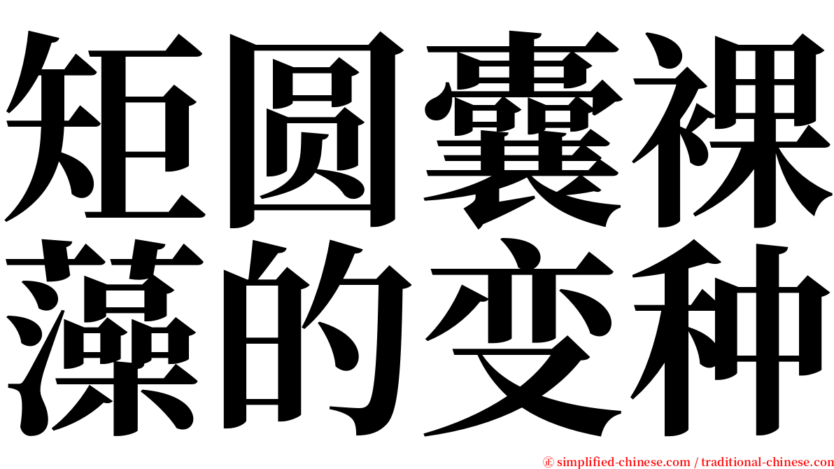 矩圆囊裸藻的变种 serif font