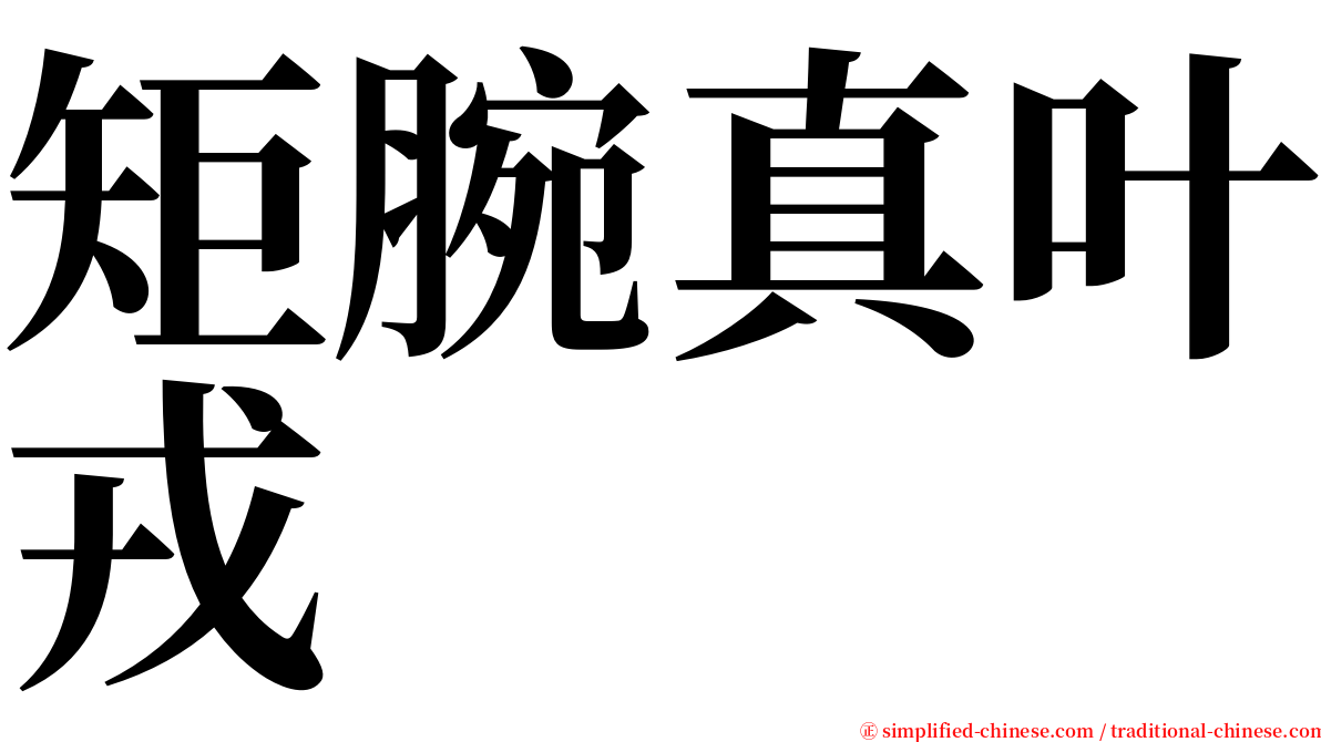 矩腕真叶戎 serif font