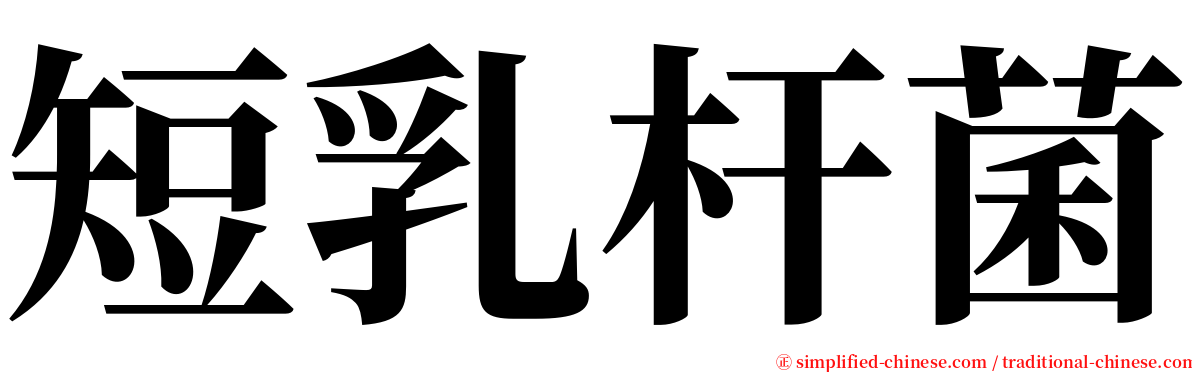 短乳杆菌 serif font