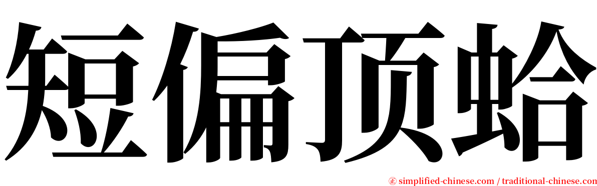 短偏顶蛤 serif font