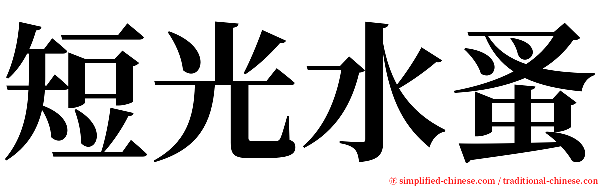 短光水蚤 serif font