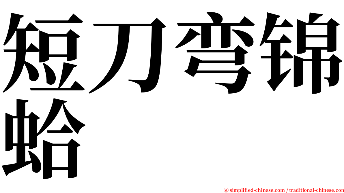 短刀弯锦蛤 serif font