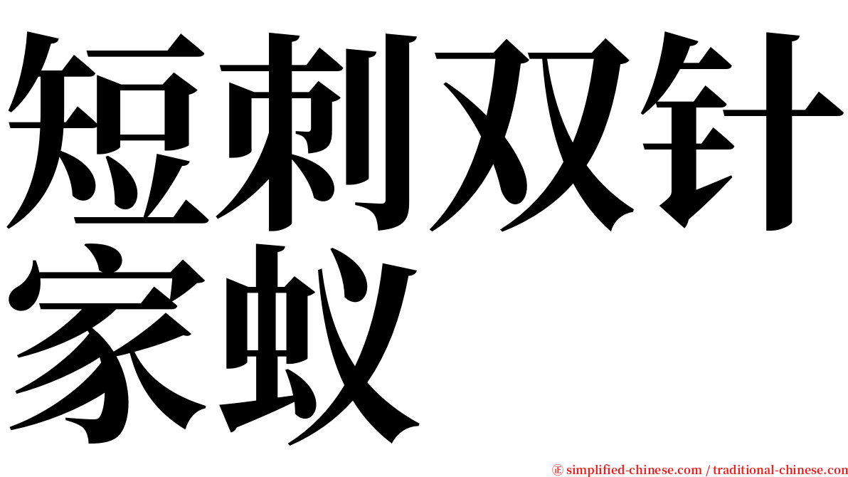 短刺双针家蚁 serif font