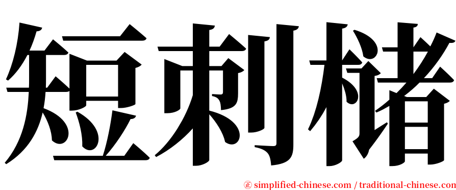 短刺槠 serif font