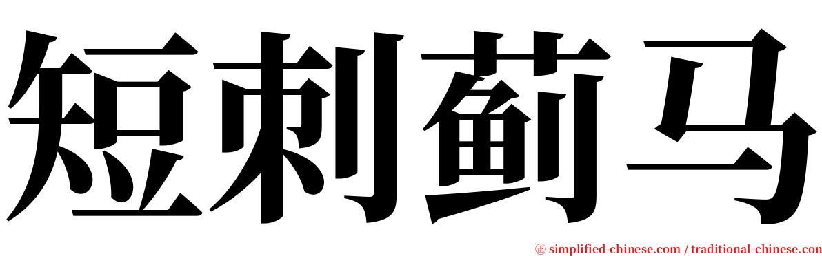 短刺蓟马 serif font