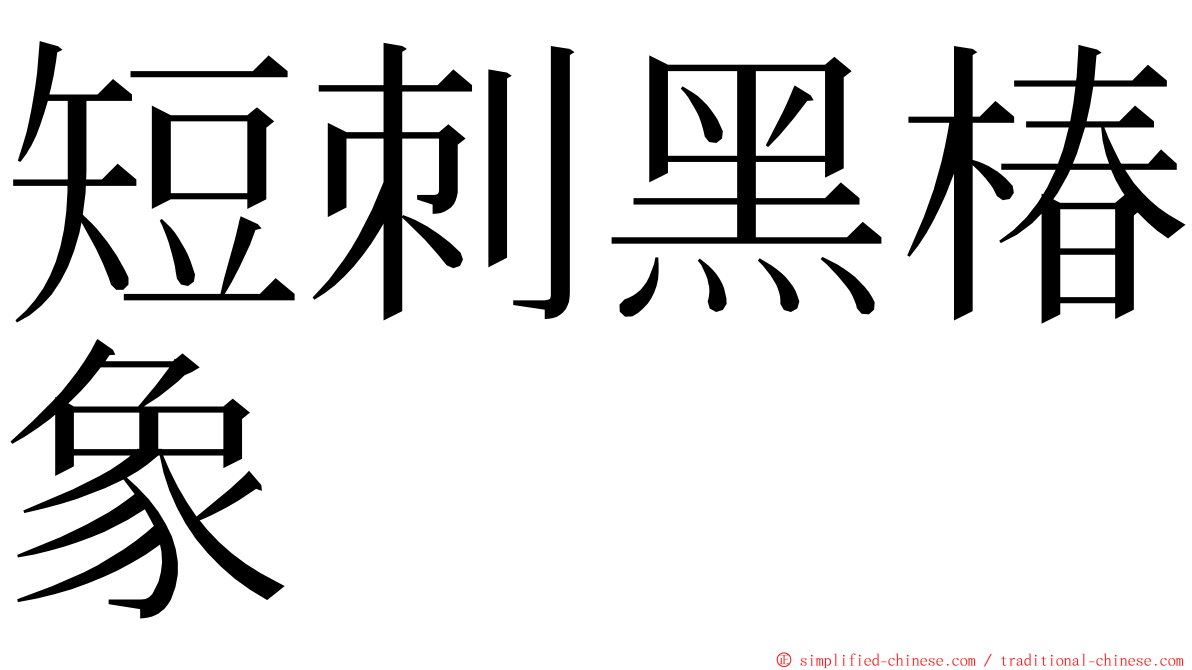 短刺黑椿象 ming font