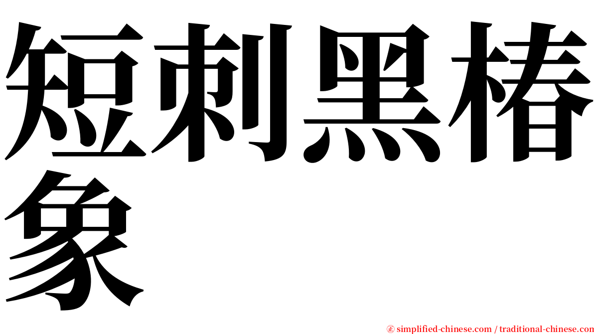 短刺黑椿象 serif font