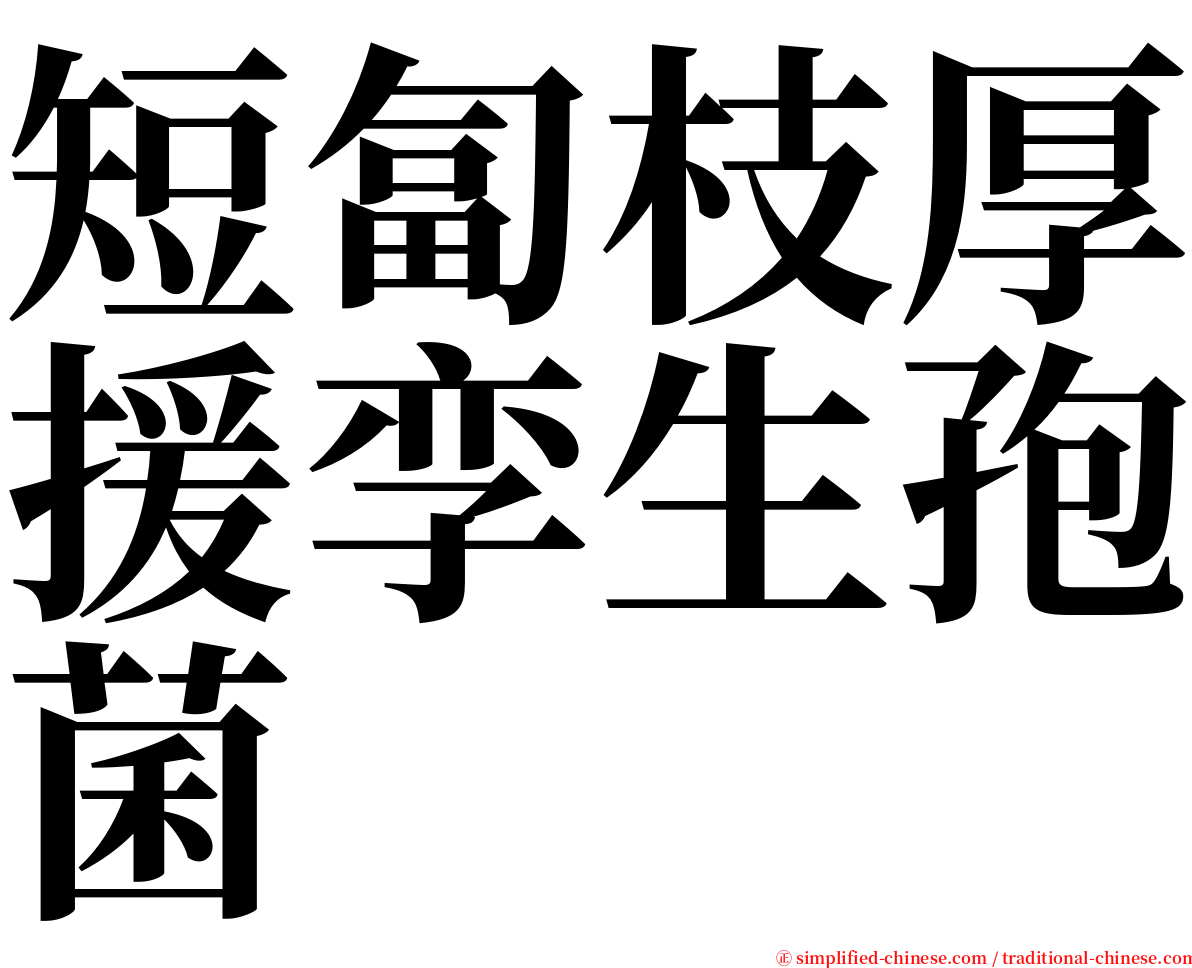 短匐枝厚援孪生孢菌 serif font