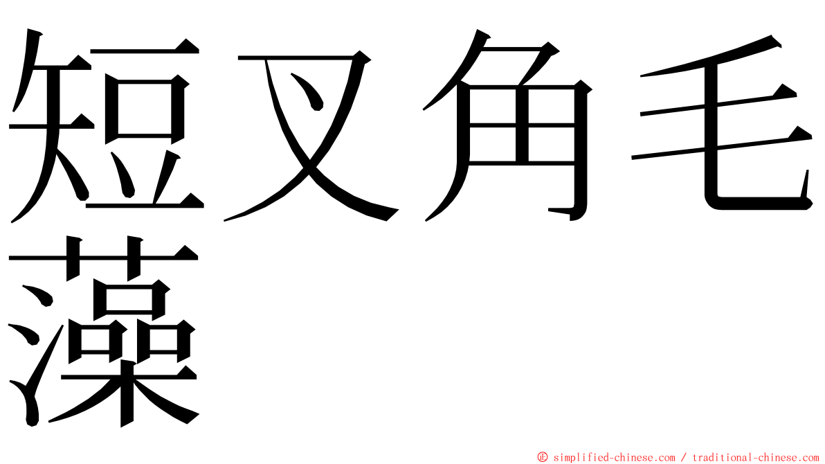 短叉角毛藻 ming font