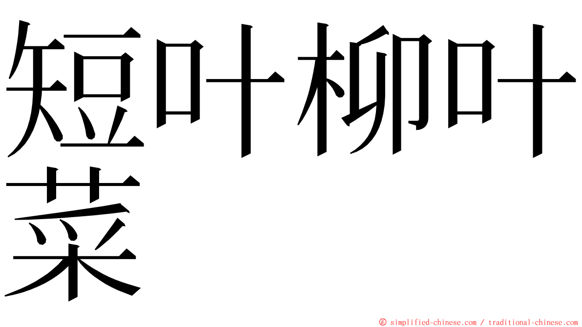 短叶柳叶菜 ming font