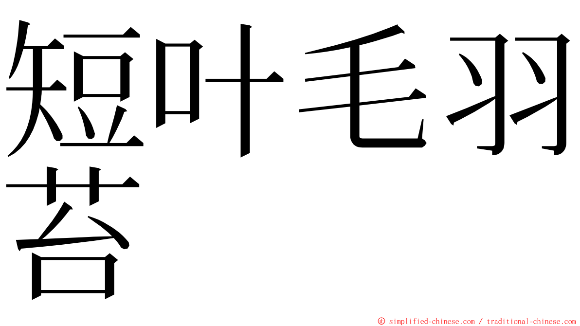 短叶毛羽苔 ming font