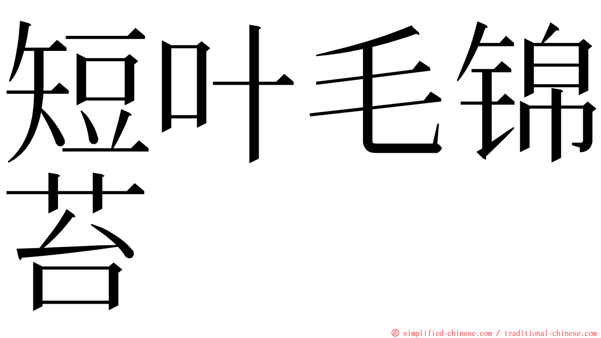 短叶毛锦苔 ming font