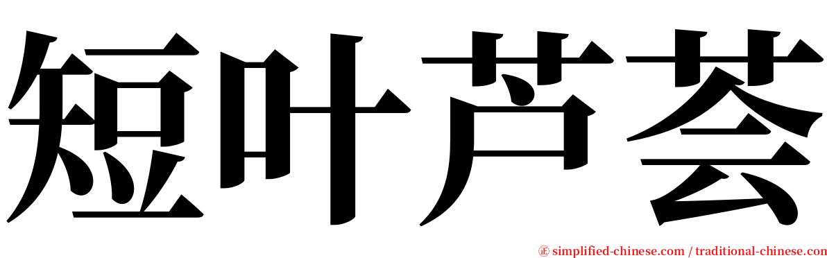 短叶芦荟 serif font