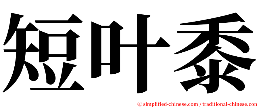 短叶黍 serif font