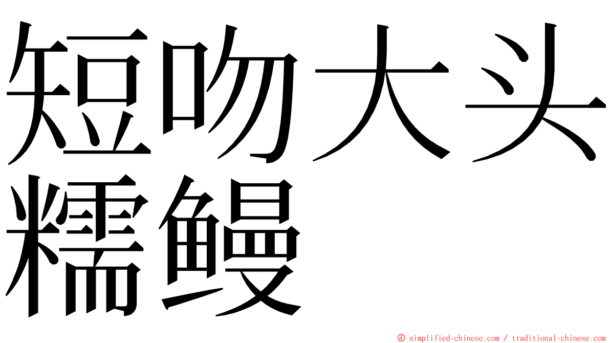 短吻大头糯鳗 ming font