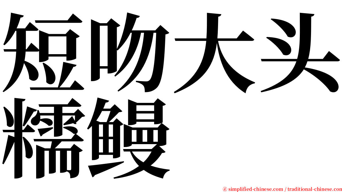 短吻大头糯鳗 serif font