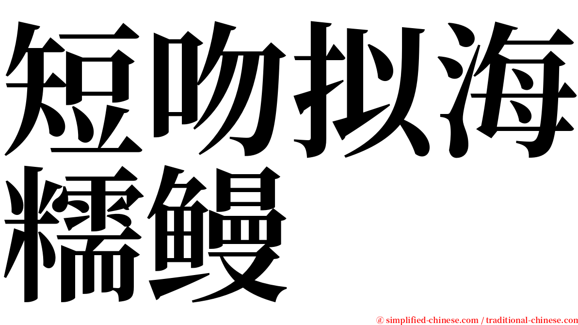 短吻拟海糯鳗 serif font