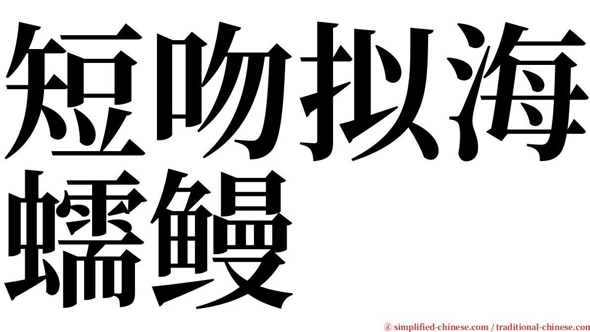 短吻拟海蠕鳗 serif font