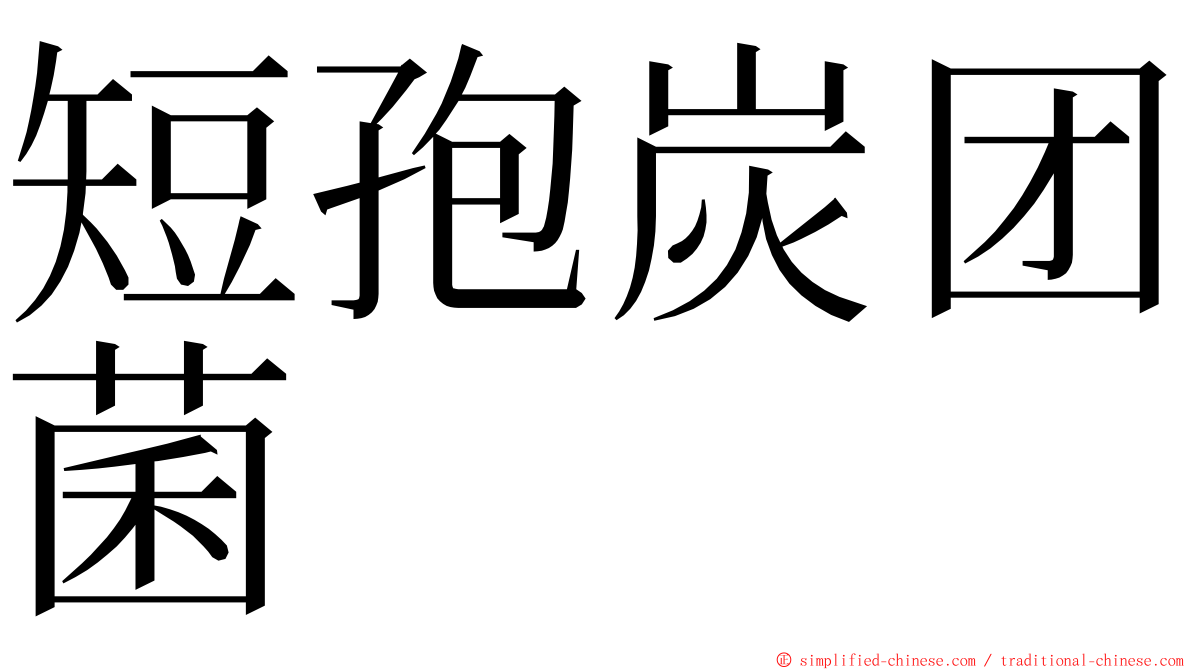 短孢炭团菌 ming font