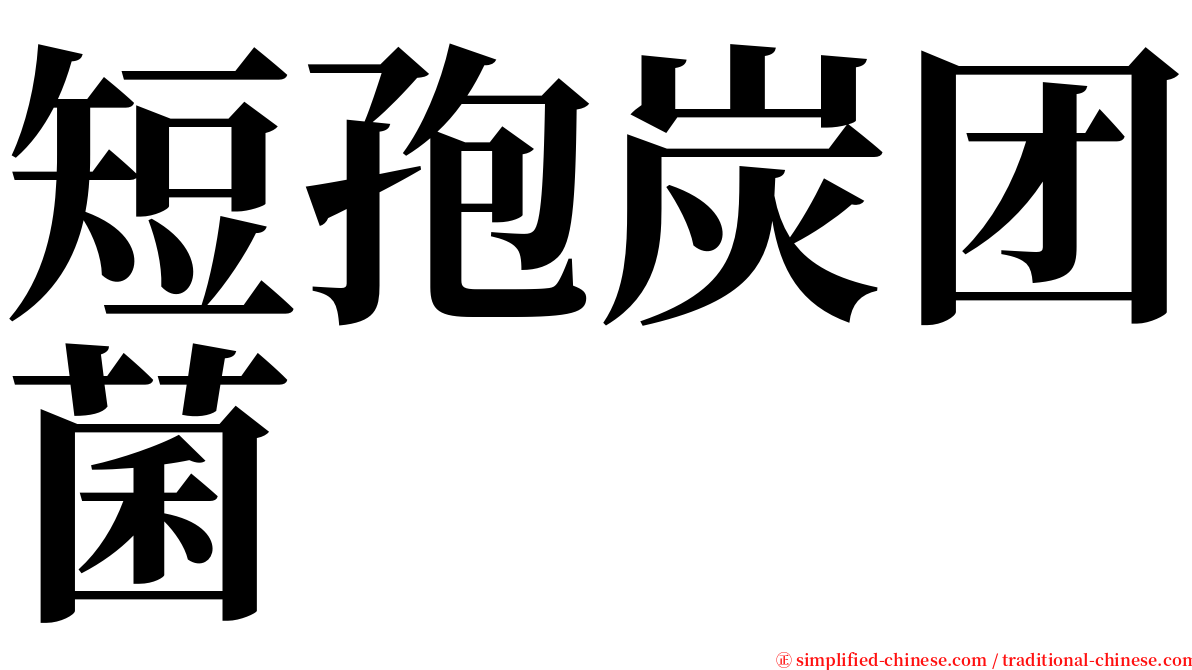 短孢炭团菌 serif font