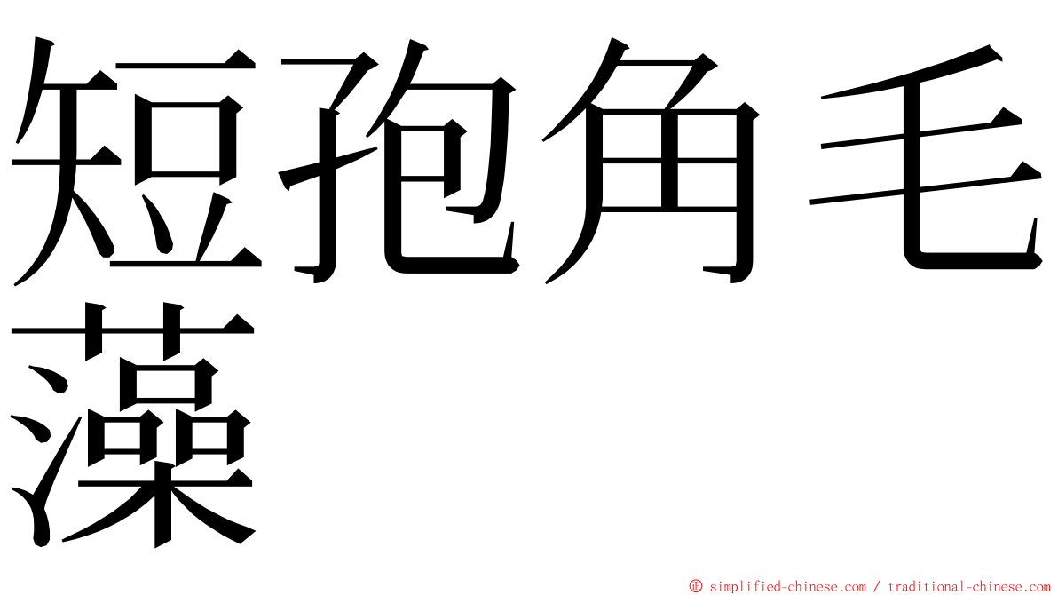 短孢角毛藻 ming font