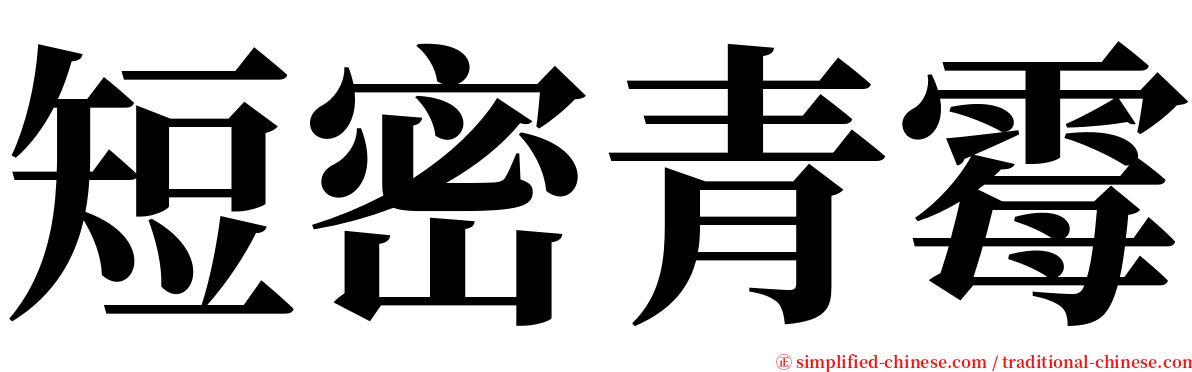 短密青霉 serif font