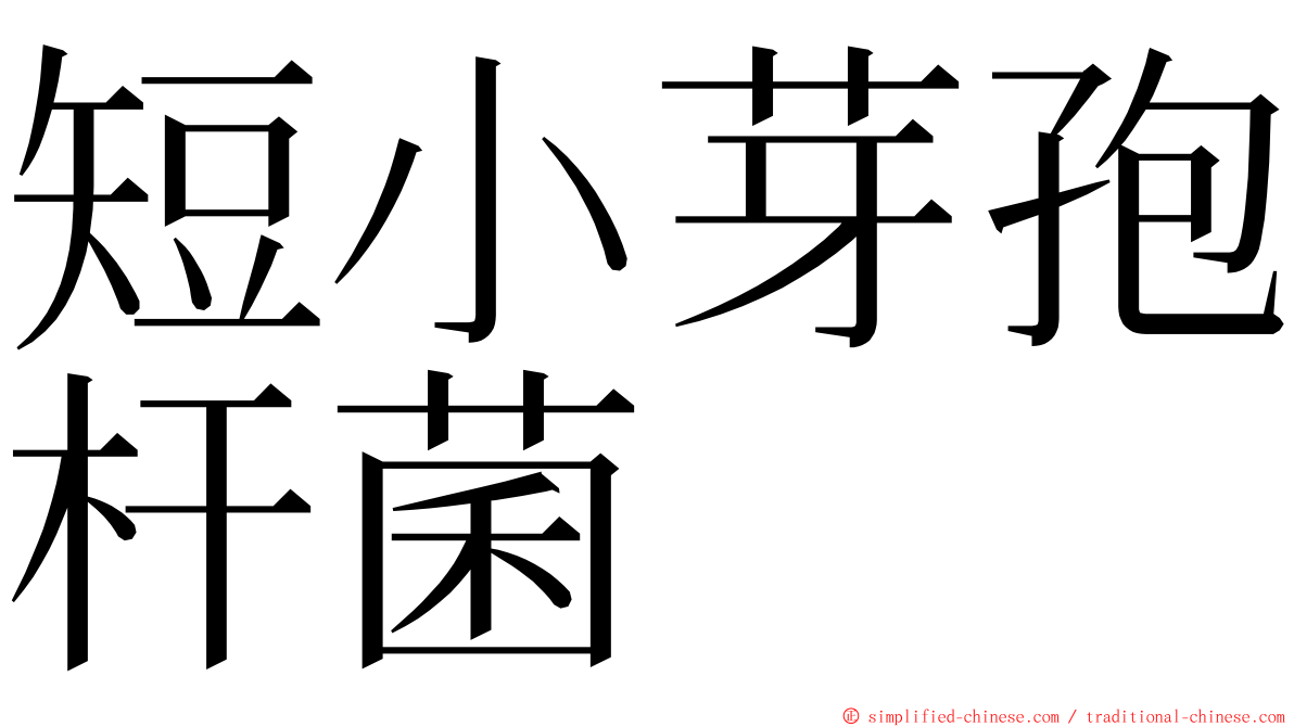 短小芽孢杆菌 ming font