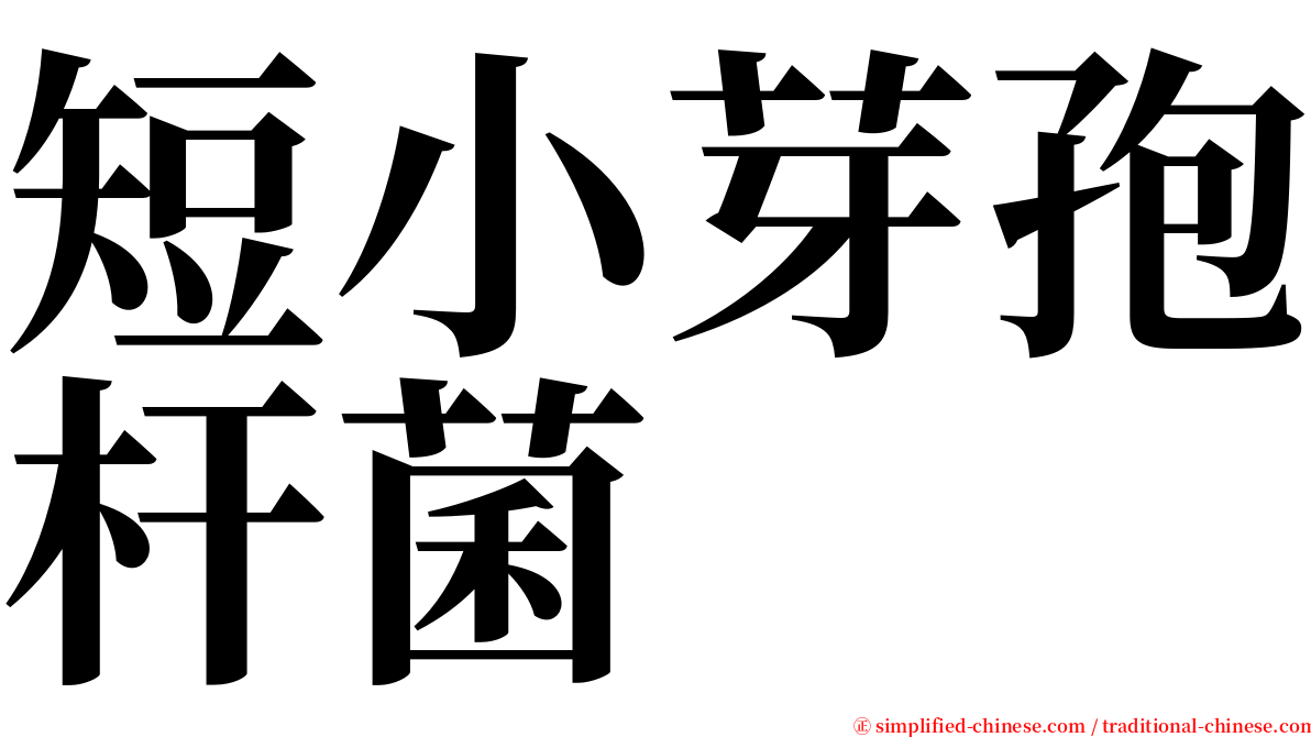 短小芽孢杆菌 serif font