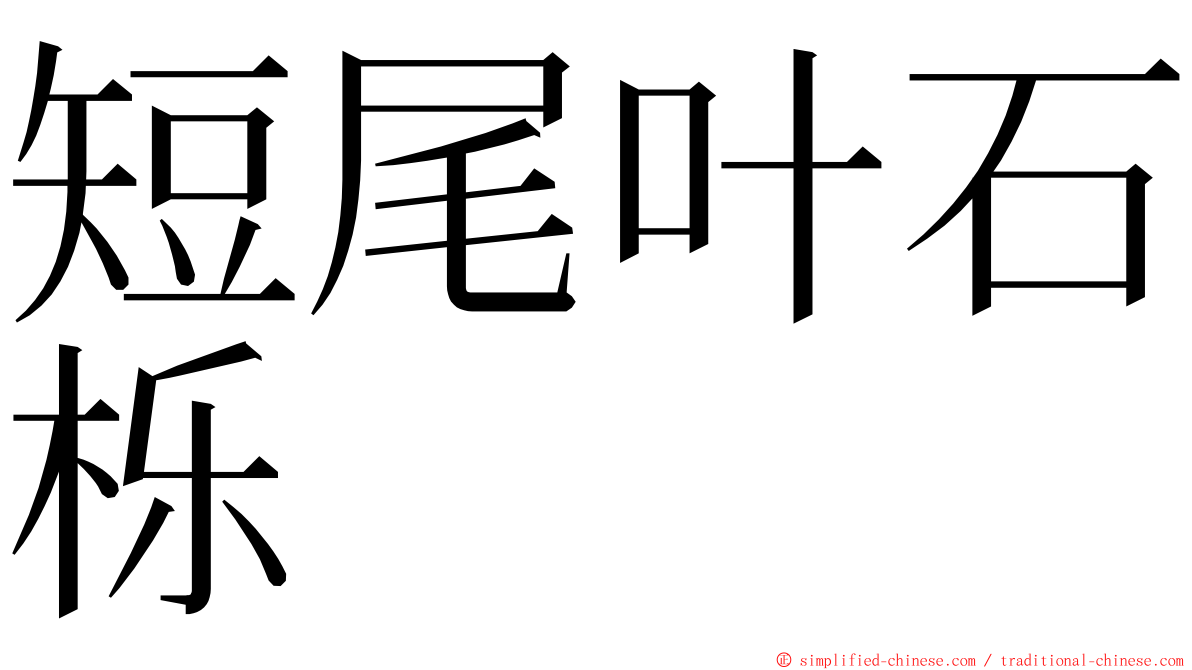 短尾叶石栎 ming font