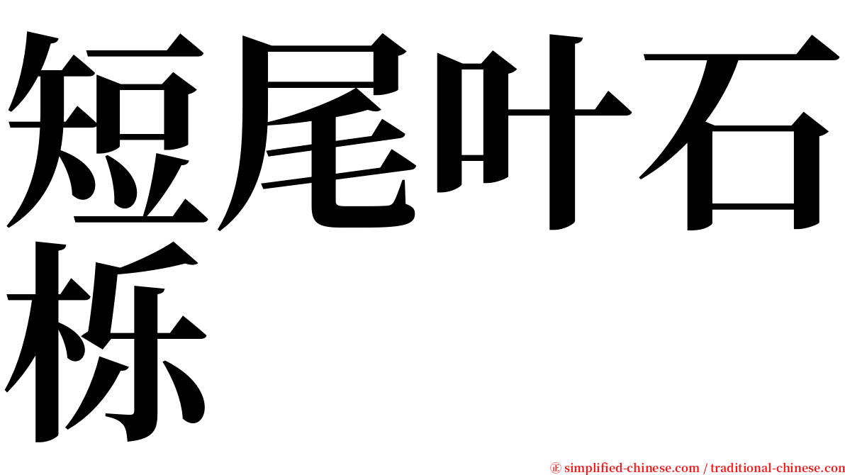 短尾叶石栎 serif font